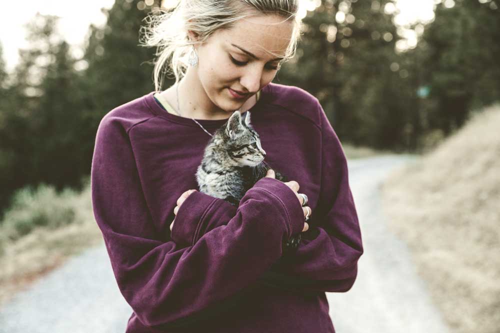 Why Do Cats Sit On Your Chest: 14 Possible Reasons