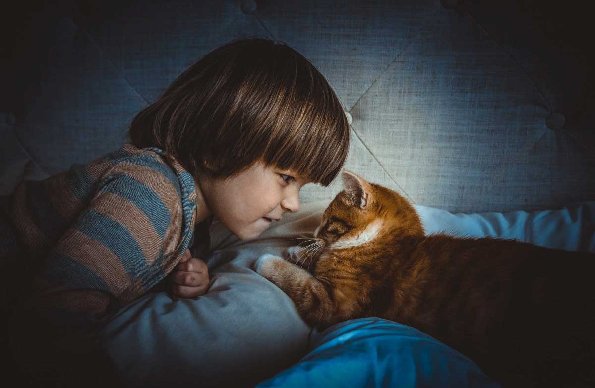 Cats Choose Favorite Person